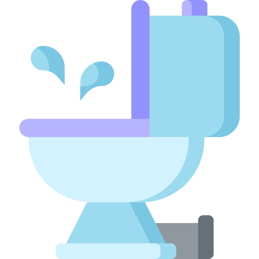 Toilette verstopft